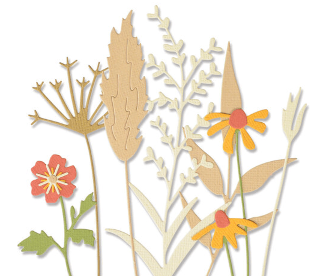 Sizzix - Thinlits Dies - Delicate Autumn Stems - Messy Papercrafts