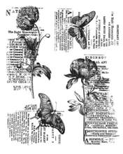 Stampers Anonymous - Tim Holtz - Cling Mounted Rubber Stamp Set - Botanic Collage - Messy Papercrafts