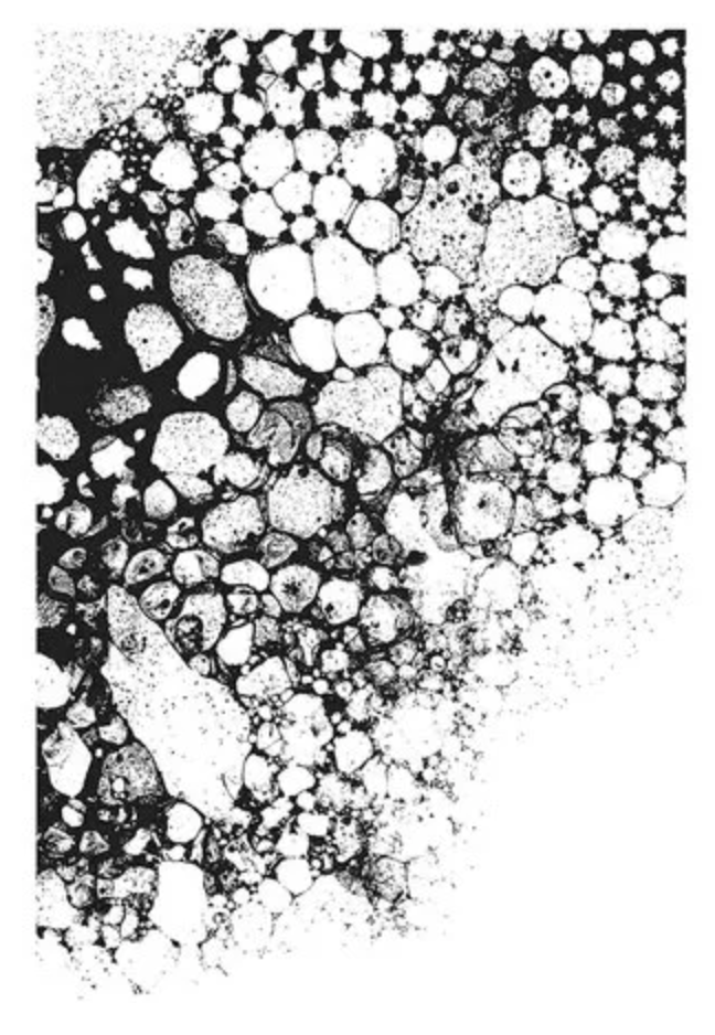 Stampers Anonymous - Tim Holtz - Cling Mounted Rubber Stamp Set -Bubbles with Gridblock - Messy Papercrafts