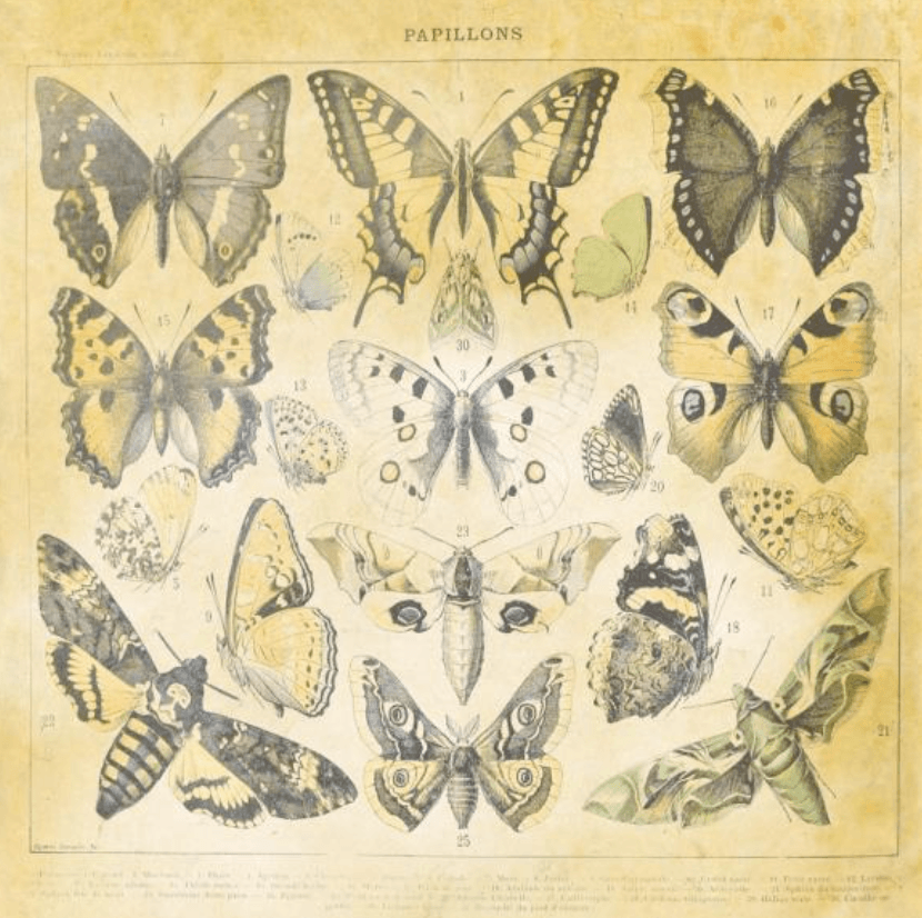 Studio Light - Paper Pad 8x8 Inch - JMA New Awakening - Mixed Paper Pad - Messy Papercrafts