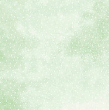 Studio Light - Scrapbook Paper Pad - 12x12 Inch - Little Blossom Studiolight