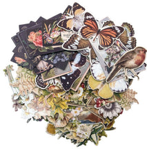 Tim Holtz Idea ology Pack of 83 Botanical Layers Tim Holtz