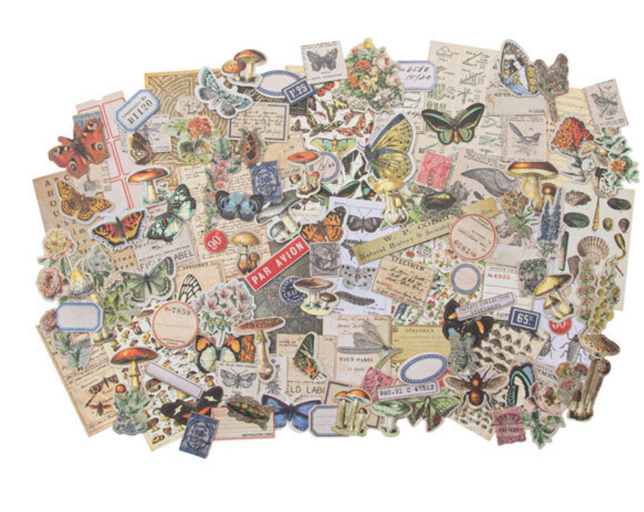 Tim Holtz Ideaology Ephemera Snippets Field Notes Tim Holtz