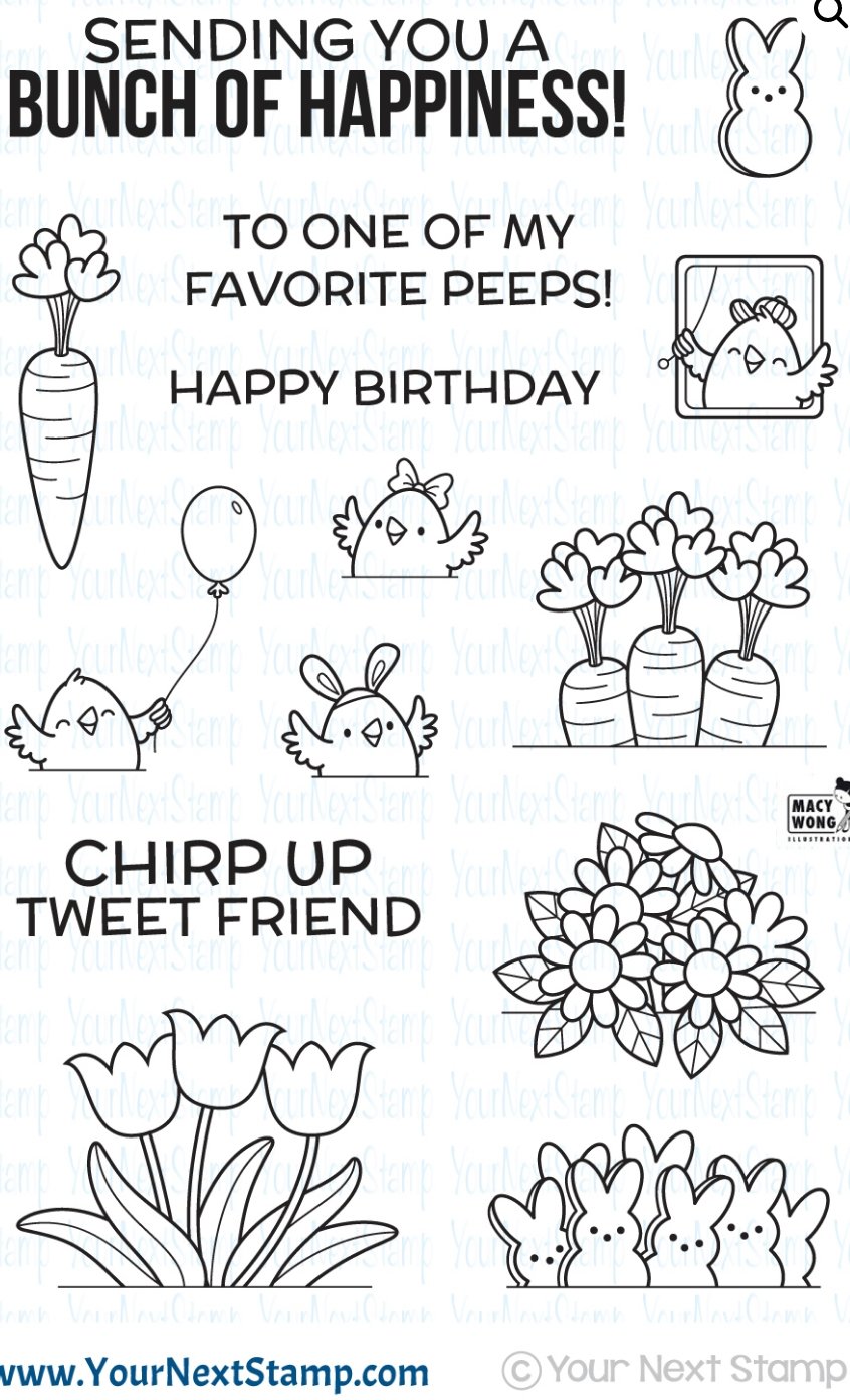 Your Next Stamp - All Aboard Bunch Of Happiness Stamp Set - 4×6 Inch Your Next Stamp